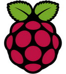 RaspberryPi Logo